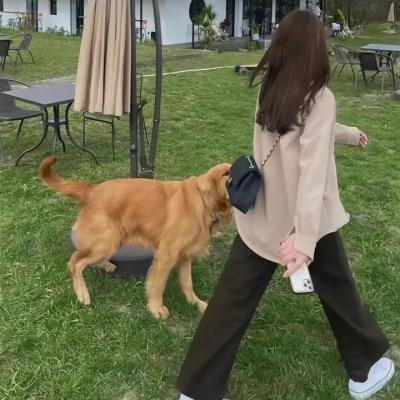 我与丈夫及丈夫的男友